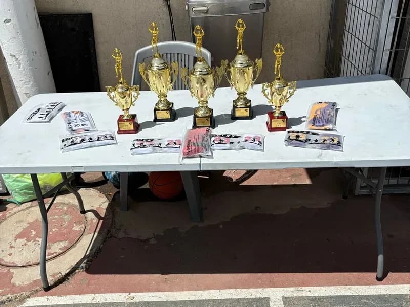 גביעים ומדליות של הישגים ספורטיביים